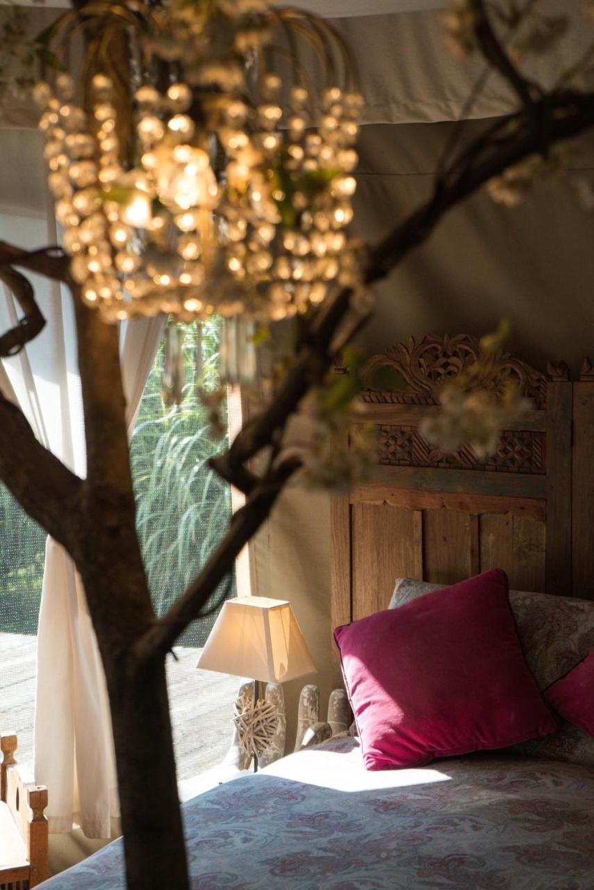 Glamping Canonici Di San Marco Mirano Exteriör bild